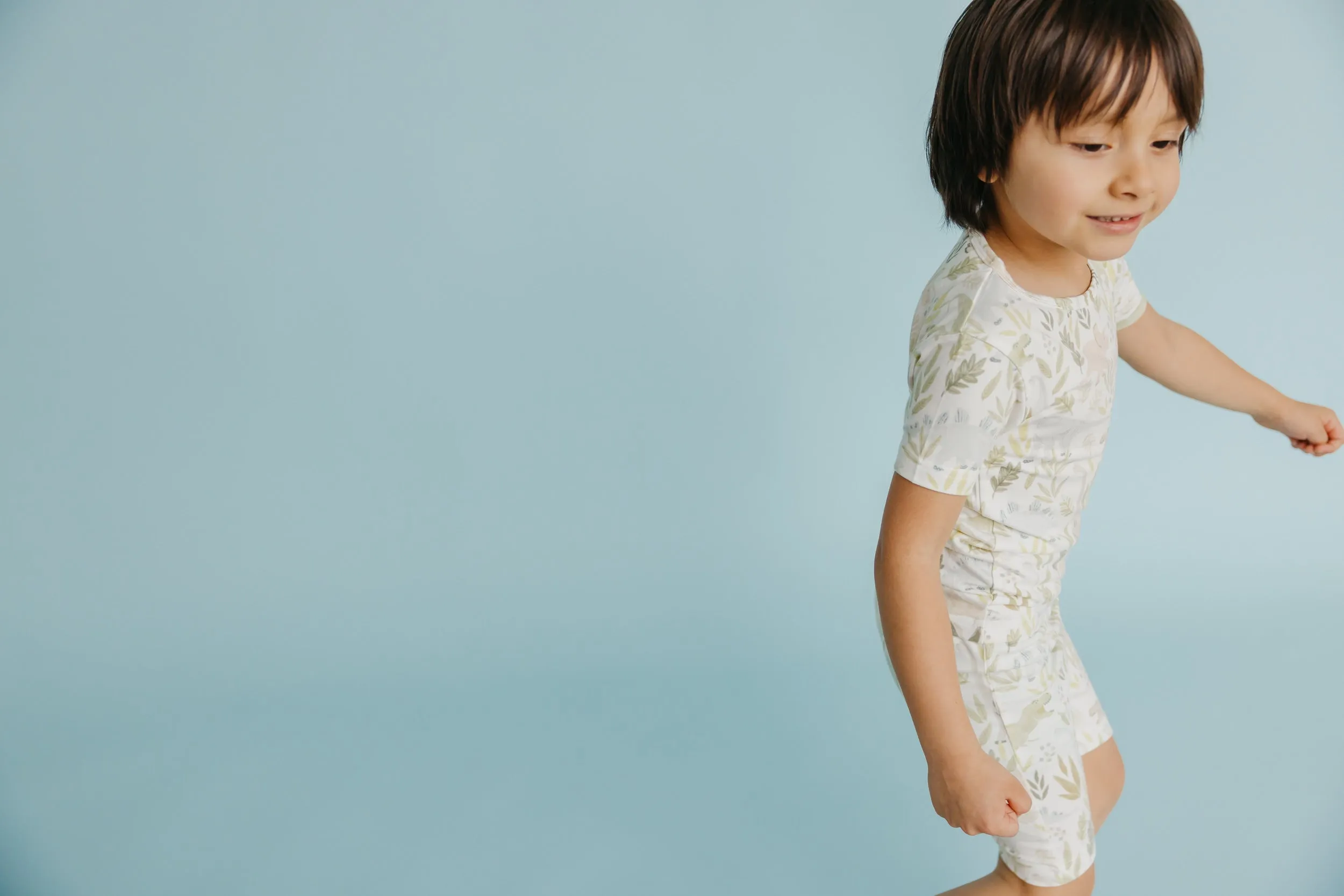 2pc Short Sleeve Pajama Set - Rex