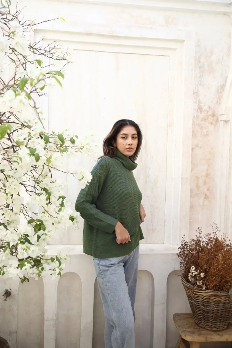 Eco Dog Walker Organic Sweater