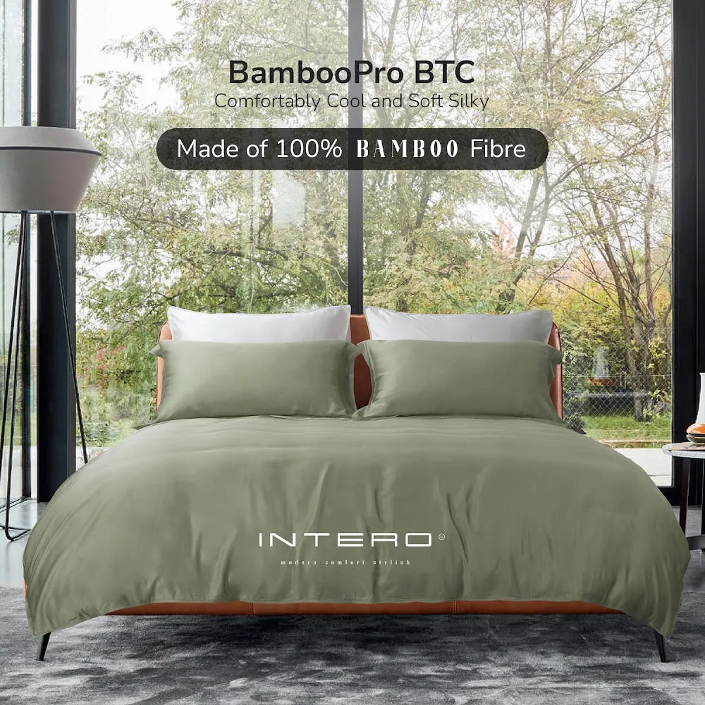 Grace 6.0 Premium Bamboo Bedsheet | Fitted set  - Kiwi