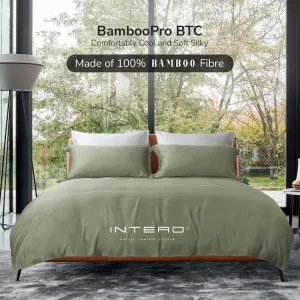 Grace 6.0 Premium Bamboo Bedsheet | Fitted set  - Kiwi